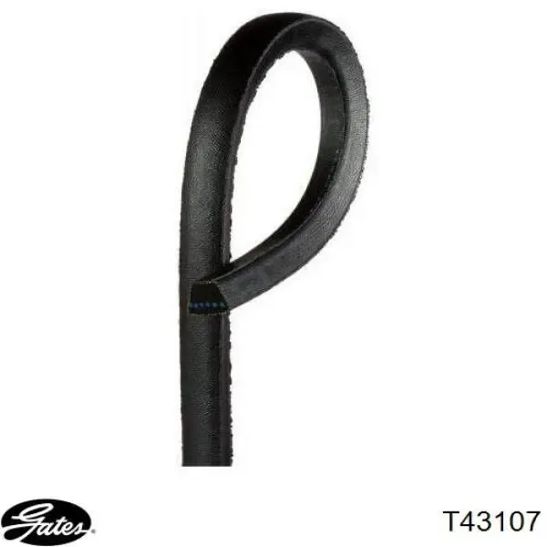 Tensor, correa de distribucion 55191536 Fiat/Alfa/Lancia