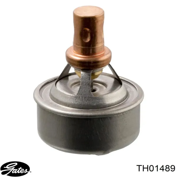 Termostato TE0113 Magneti Marelli
