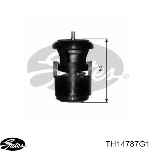 V159920191 Vemo