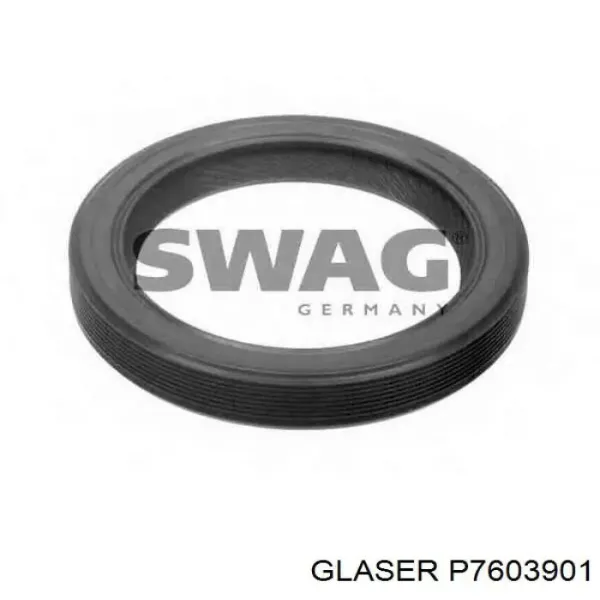 P7603901 Glaser