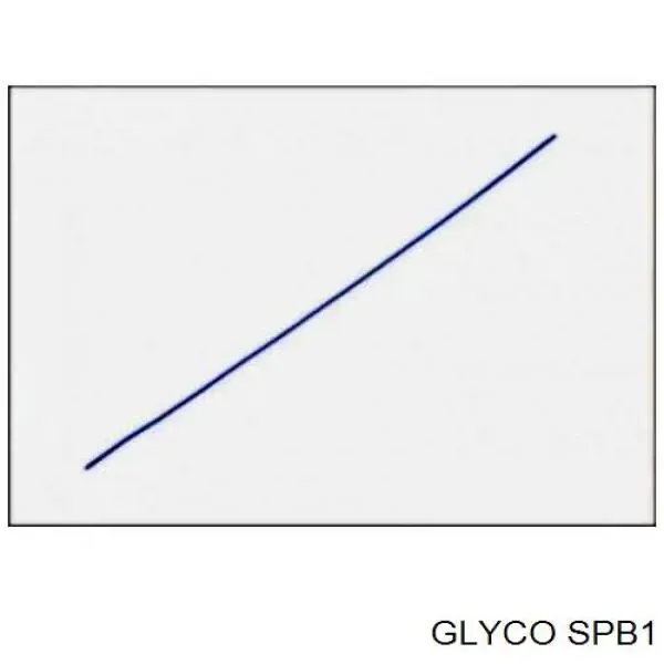  SPB1 Glyco