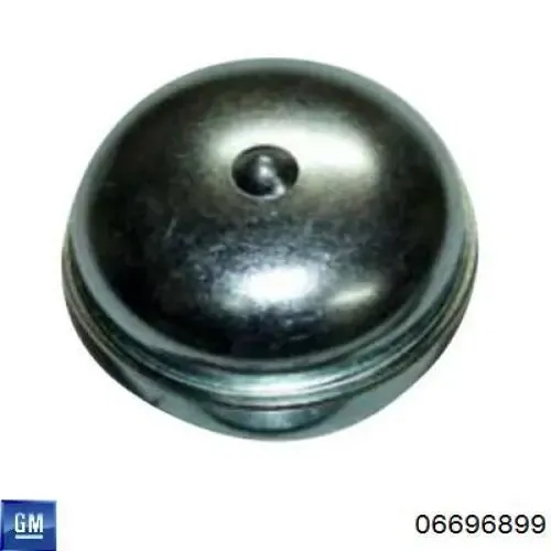 Tapa de cubo de rueda TF69Y03103065 ZAZ