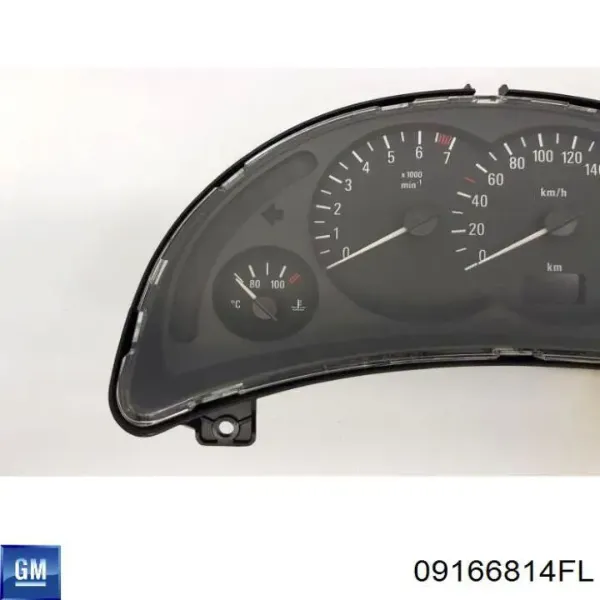 09166814FL General Motors