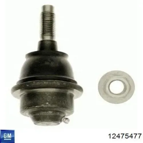 Rótula inferior de suspensión 12475477 General Motors