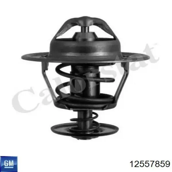 WG1261857 Wilmink Group