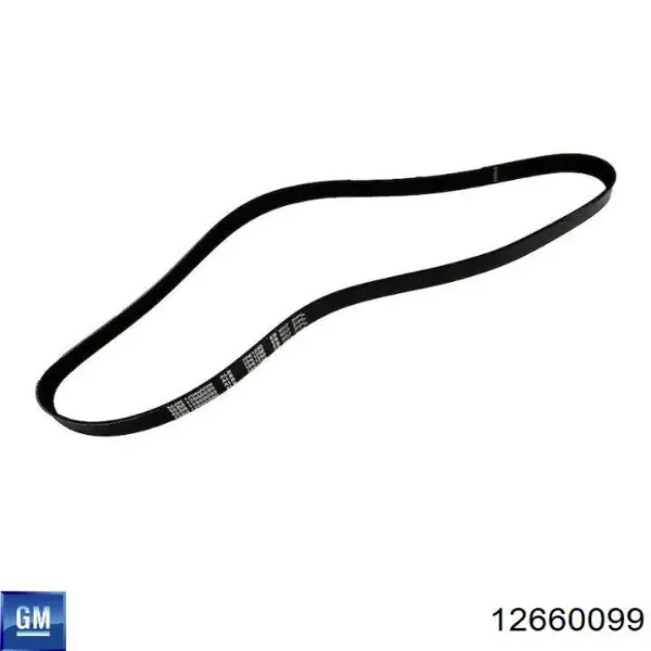 Correa de alternador 12660099 General Motors