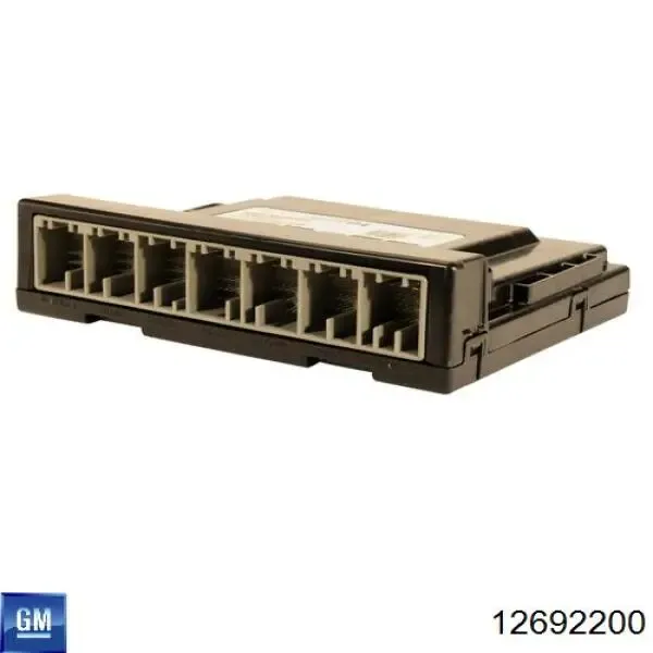 ECU 12668991 General Motors