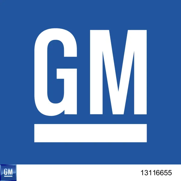 Pieza de cierre de puerta delantera 13116655 General Motors