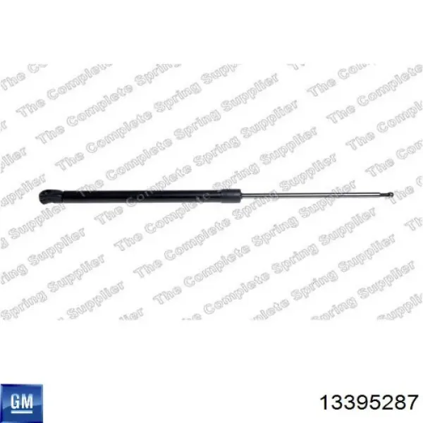  13395287 Opel
