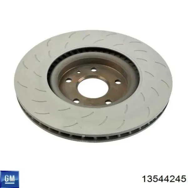 Disco de freno trasero 13544245 General Motors