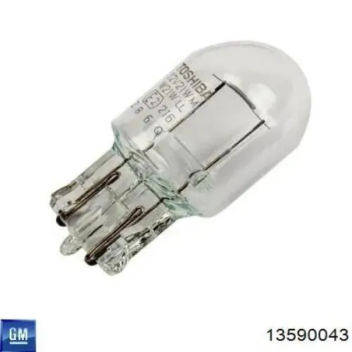 Luz matricula 13590043 General Motors