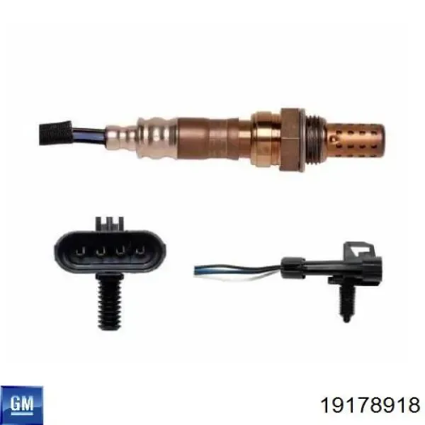 V40760019 Vemo