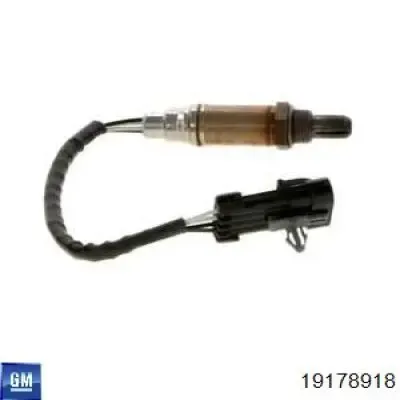 V40760019 Vemo