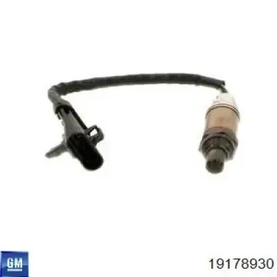 V40760019 Vemo