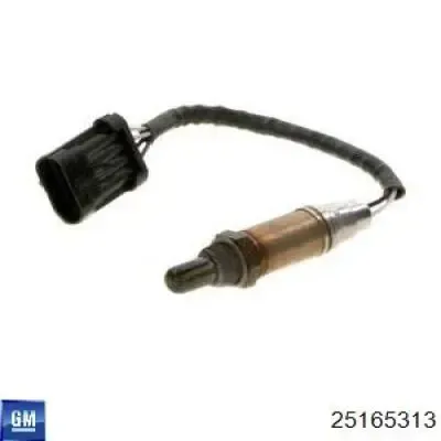 V40760019 Vemo