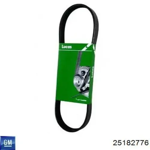 Correa trapezoidal 25182776 General Motors