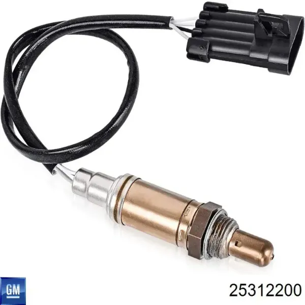 V40760019 Vemo