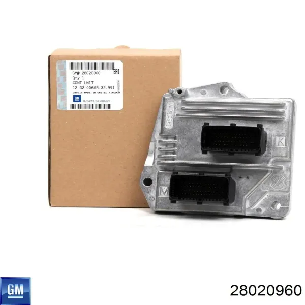 ECU 28020960 General Motors