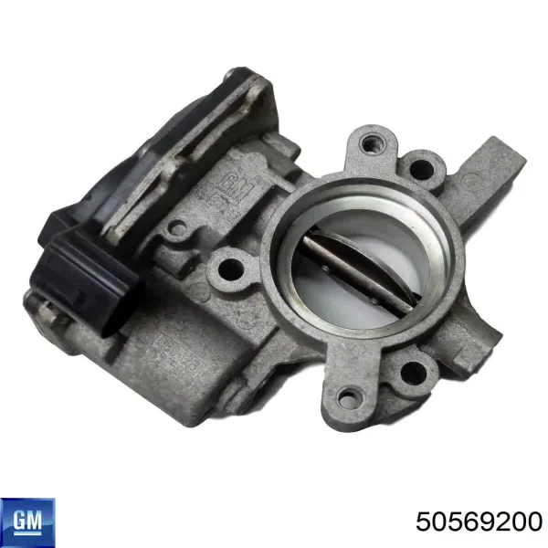 Cuerpo de mariposa 50569200 General Motors