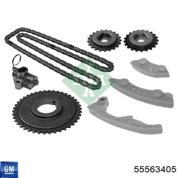 Cadena de distribución del eje de equilibrado 55563405 General Motors