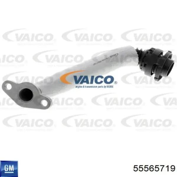 Tubo de drenaje de aceite de turbocompresor 55565719 General Motors