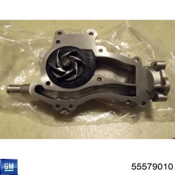 Termostato 55579010 General Motors