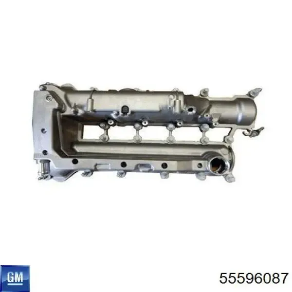 Tapa de balancines 55596087 General Motors