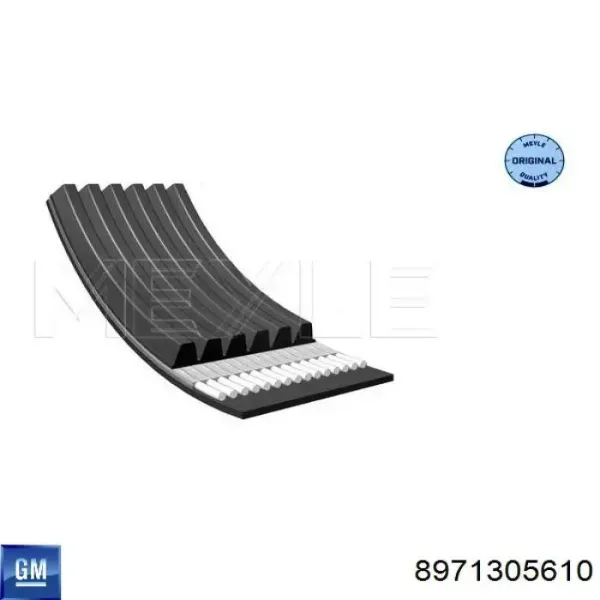 Correa de alternador 8971305610 General Motors
