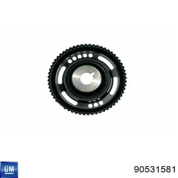 Polea dámper General Motors 90531581