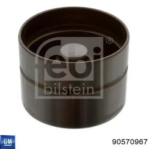 Taqués hidráulicos 90570967 General Motors