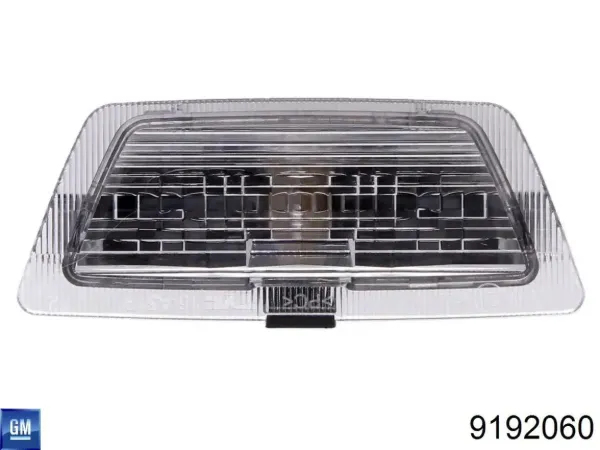 Luz matricula 9192060 General Motors