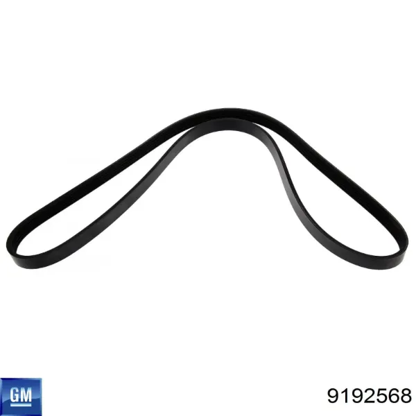 Correa de alternador 9192568 General Motors