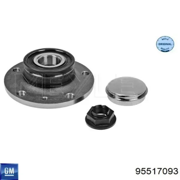 Cubo de rueda trasero 95517093 General Motors