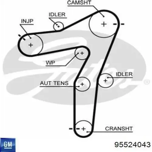 Kit de distribución 95524043 General Motors
