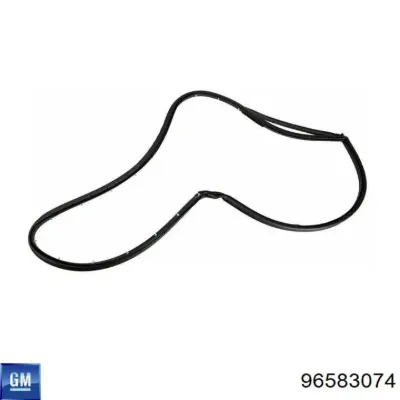 Moldura de cristal de la puerta trasera izquierda GM 96583074