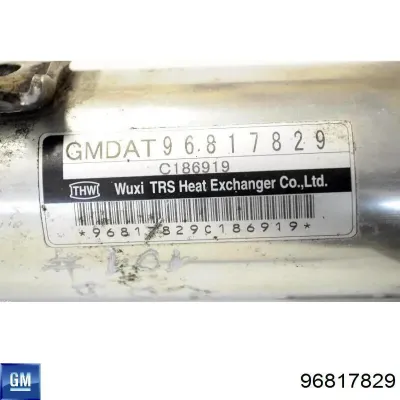 Enfriador EGR de recirculación de gases de escape GM 96817829