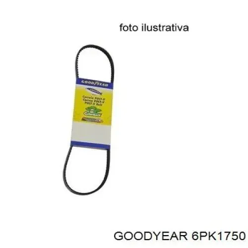 Correa trapezoidal Volkswagen LT 2DB, 2DE, 2DK