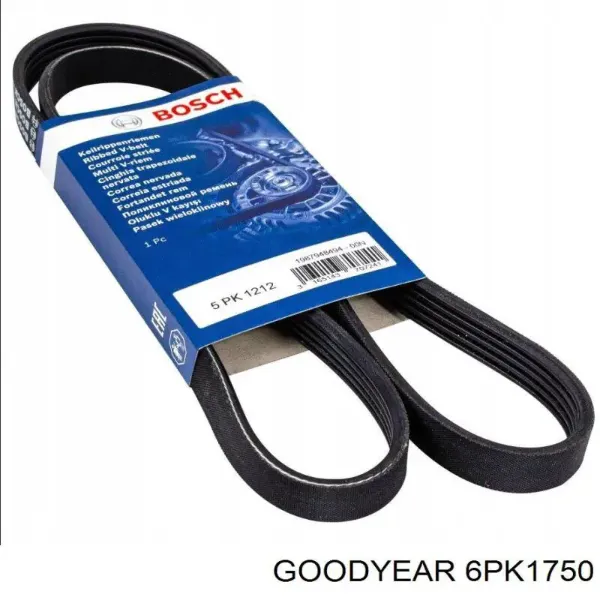 Correa trapezoidal Volkswagen LT 2DB, 2DE, 2DK