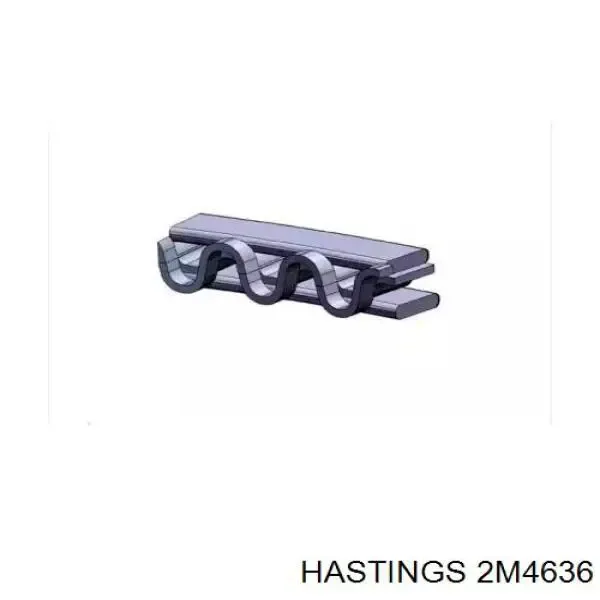 Aros de pistón para 1 cilindro, STD 2M4636 Hastings