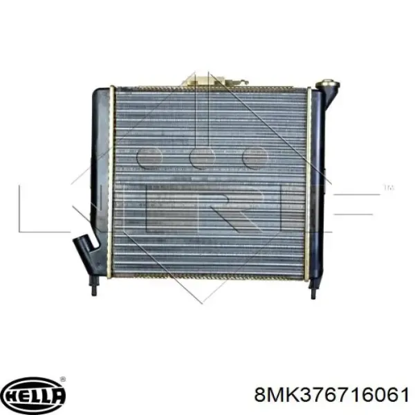 Radiador 7700773968 Renault (RVI)