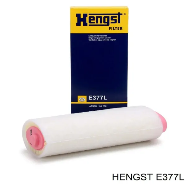 E377L Hengst