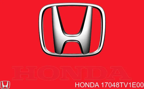 Filtro de combustible 17048TV1E00 Honda