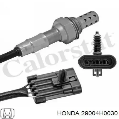 V40760019 Vemo