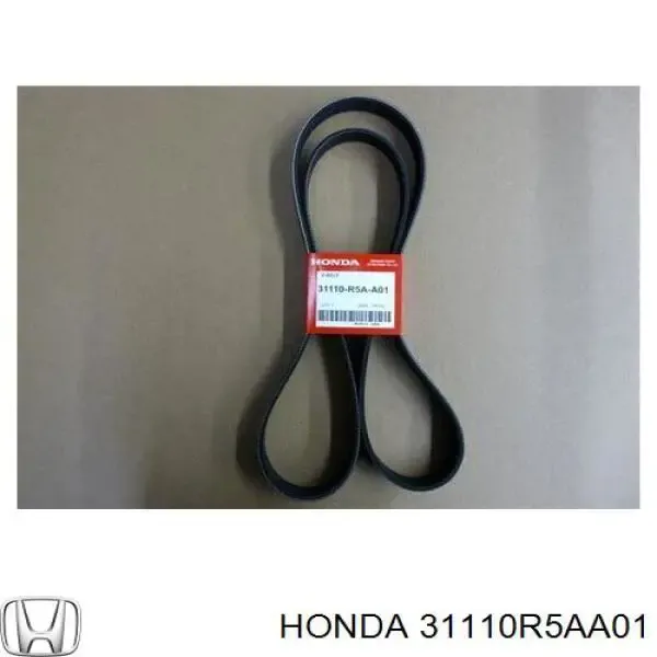 Correa de alternador 31110R5AA01 Honda