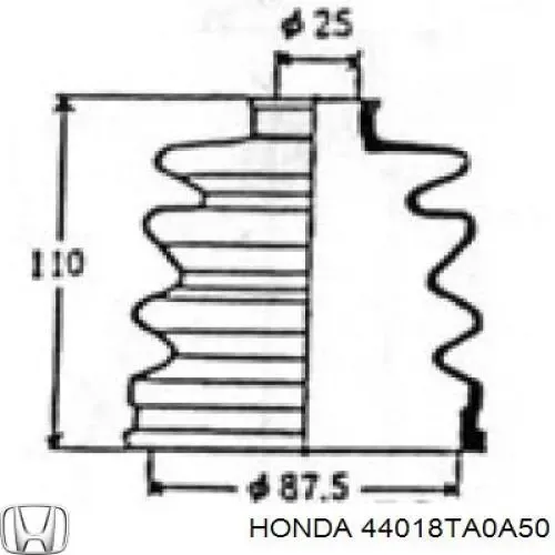 Fuelle de palier delantero exterior 44018TA0A50 Honda