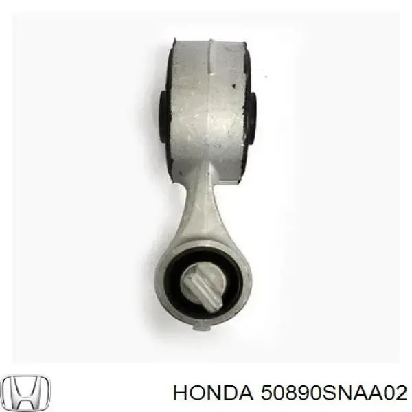 Soporte de motor trasero 41199073 AND