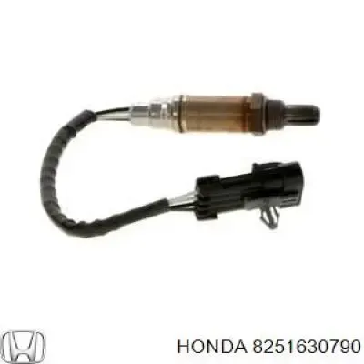 V40760019 Vemo