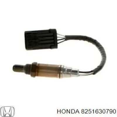 V40760019 Vemo