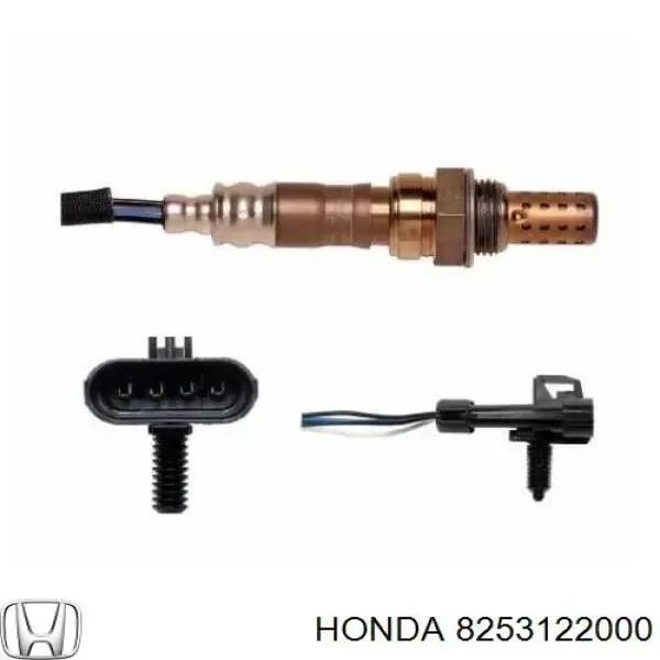 V40760019 Vemo