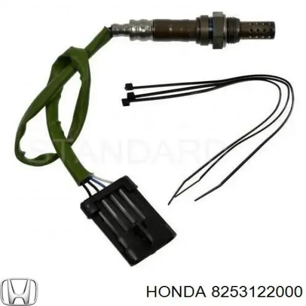 V40760019 Vemo